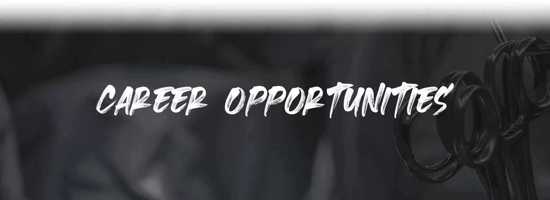 career-856441-1760787663